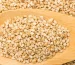 The Benefits of Sesame Seeds